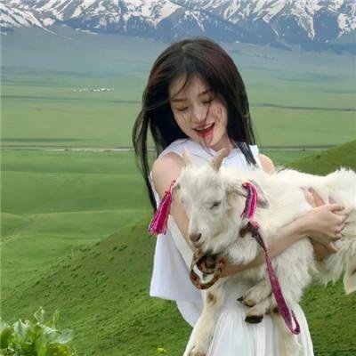 陀枪师姐2021国语