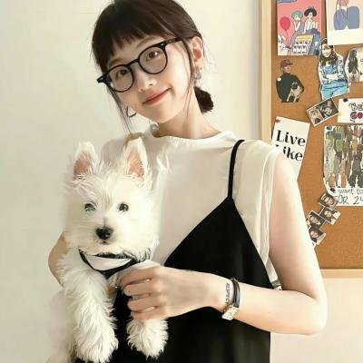 蝙蝠侠：红影迷踪